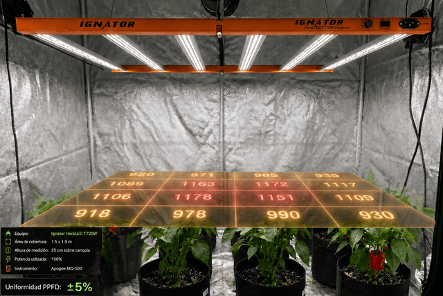 PPFD and LED Efficiency: Why Some Crops Yield Much More While Using Less Light