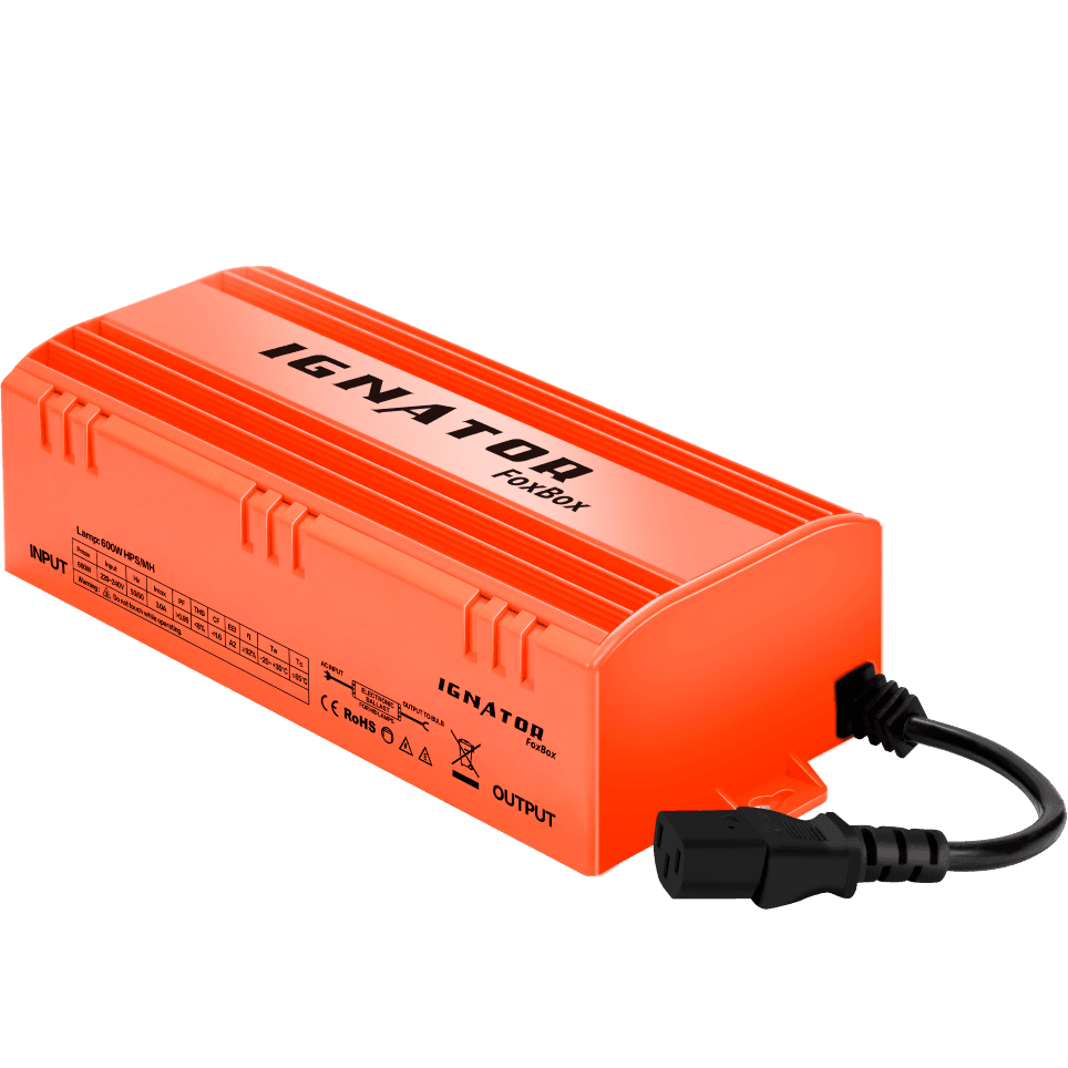 FoxBox